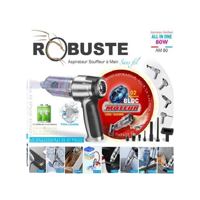 Aspirateur Souffleur Sans Fil 80W Double Batterie 7 Accessoires Robuste AM80