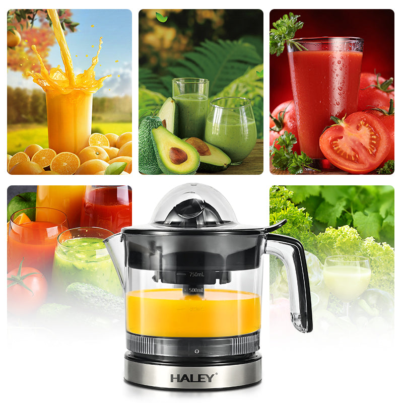 haley citrus juicer ht-2905